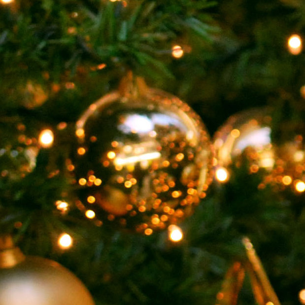 Видео-отчет о новогодней ёлке 2016!